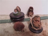 Small Hedgehog Container & Figurine
