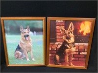 German Shepherd Framed Pictures 16 x 20 inches