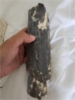 Colombian Mammoth Bone