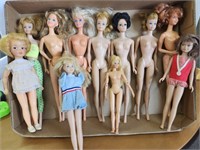 Barbie Dolls & Friends, well loved