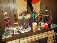 Everything on top of fireplace (Trophy's and