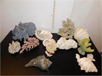 VARIETY OF CORALS AND SHELLS ETC.