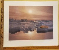 Lorenzo Fracchetti "Sea Ice Sunset " 490/500