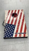 Cornhole boards with bags