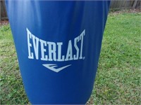 Everlast Punching Bag