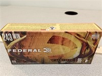 *20 rds Federal 243 WIN ammo