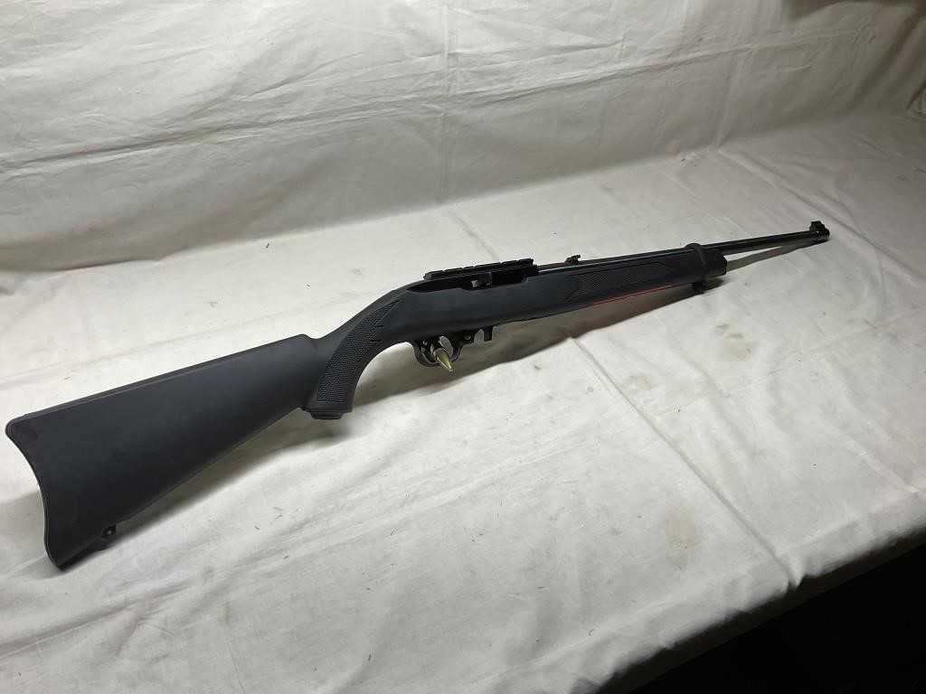 ruger 10-22 22cal