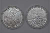 2 - Silver 1ozt .999 (2ozt TW) Indian and Skull