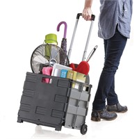 Inspired Living Ultra-Slim Rolling Collapsible Sto