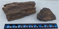 2 Pieces of Petrified wood