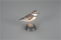 Miniature Semipalmated Plover