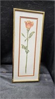 Watercolor Rose Signed & Framed 20" x 9"