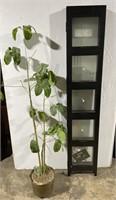 (N) Faux Plant 64” tall and Tri-Fold Picture