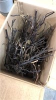 Box of Branches for Birds or Other