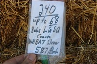 Straw-Lg.squares-Wheat