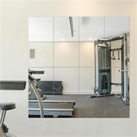 Delma Home Gym Mirror Tiles, 14'' X 12'' Glass