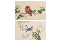 TWO FRAMED PITH PAPER PAINTINGS OF BIRDS