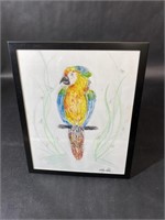 Signed Framed Parrot Drawing