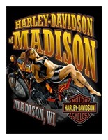 Harley Davidson 11x14 Collector Giclee