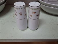 Abingdon China salt and pepper shakers