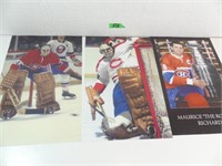 Collection of 3 Hockey Mini 11x17 Posters