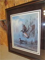 Duck Framed Print by Henske