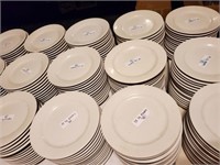 15 - 9 inch Entree Plates
