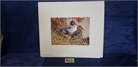 (1) PA. Game Commission Stamp Print (Waterfowl)