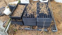 75+ Plant Starter trays