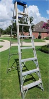 Werner 8 Foot Ladder