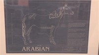 Framed I M Paws Arabian Horse Print