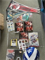 NHL Hockey Collectors Lot