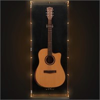 Arcrylic Guitar Display Case  Lockable  UV-Protect