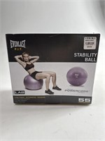 Stability Ball New