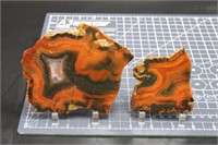 Condor Agate Slabs, Argentina, 9.4 Oz