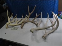 (5) 20"ish Larger Deer Antlers