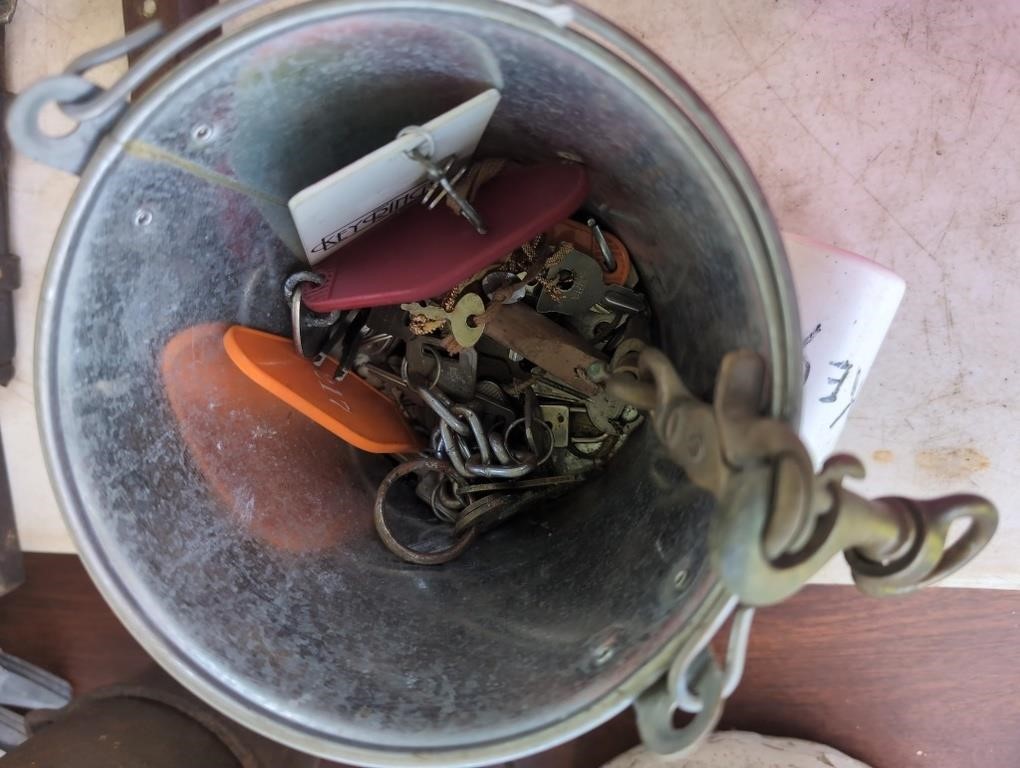 Small galvanized bucket of keys