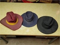 Cowboy hats (3)