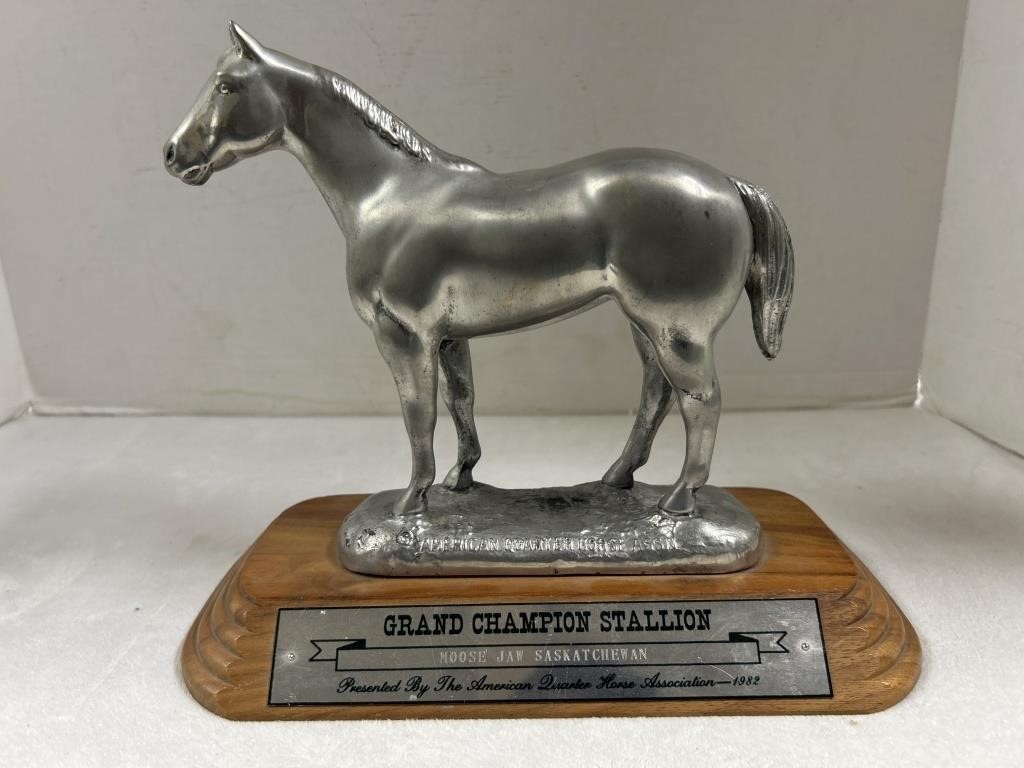 1982 grand champion stallion by blue ribbon