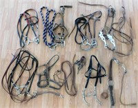 Leather Bridles + (4)