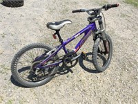 6 Speed Youth Mountain Bike