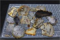 Montana Agate Slabs, 1lbs 10oz