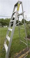 6 ft aluminum ladder