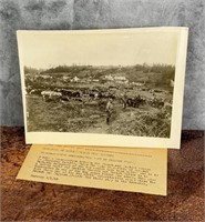 WWI WW1 British and French Dig Trenches Photo