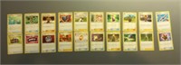 20 Pokemon Trainer Cards