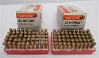 (100) Rounds of Winchester 22 hornet 45 grain SP