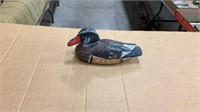 Wood duck red bill