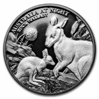2024 1oz Silver Australia At Night Rock Wallaby Pf