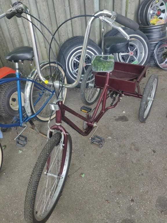 Adult Tricycle w/ Rear Basket