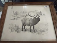 Drawing of a Bugling Elk by Kevin Gross